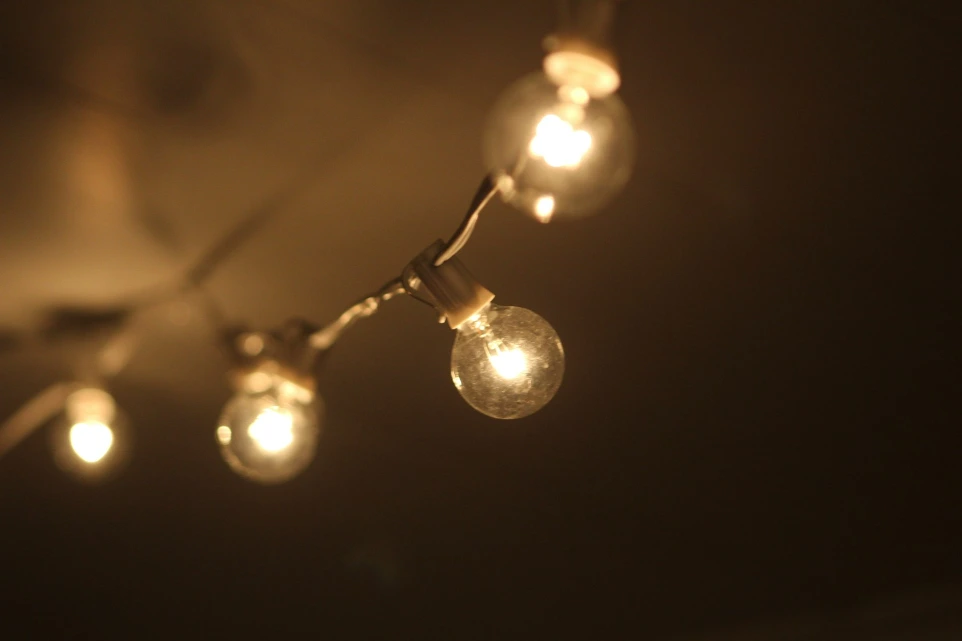 white and brown light bulb